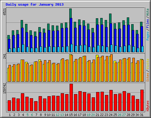 Daily usage for January 2013