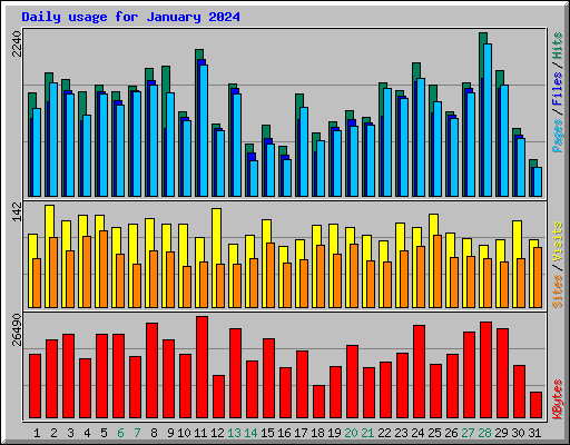 Daily usage for January 2024