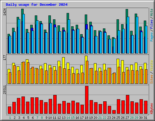 Daily usage for December 2024