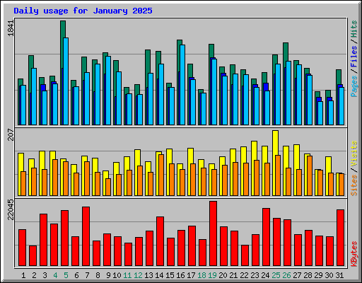 Daily usage for January 2025