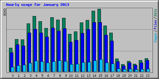 Hourly usage for January 2013