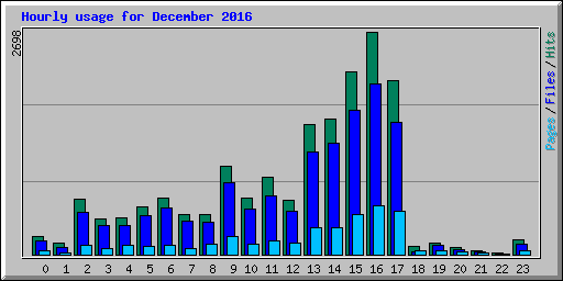 Hourly usage for December 2016