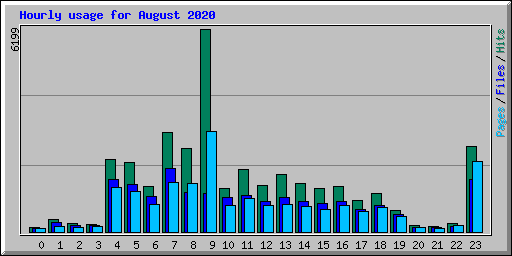 Hourly usage for August 2020