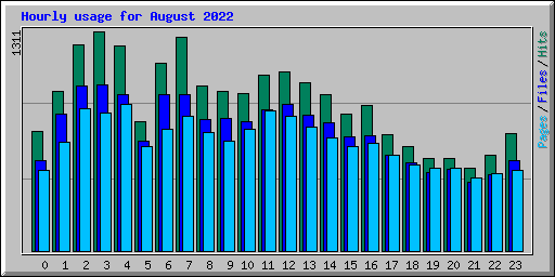 Hourly usage for August 2022