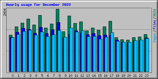 Hourly usage for December 2022