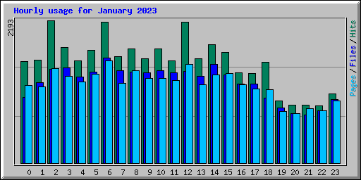 Hourly usage for January 2023