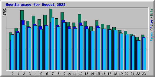 Hourly usage for August 2023