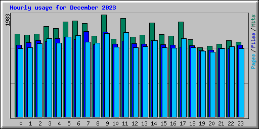 Hourly usage for December 2023