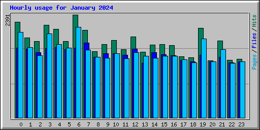 Hourly usage for January 2024