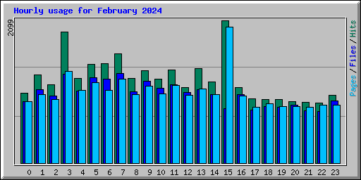 Hourly usage for February 2024