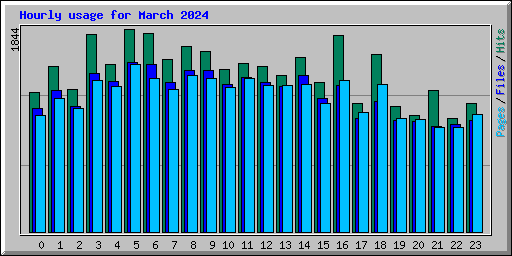 Hourly usage for March 2024