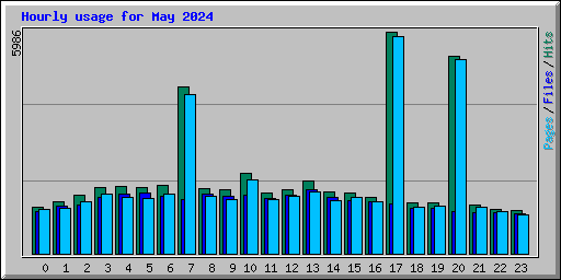 Hourly usage for May 2024