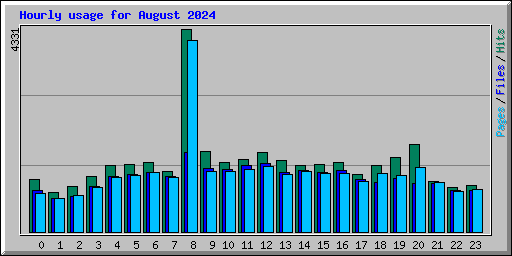 Hourly usage for August 2024