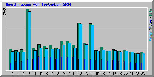 Hourly usage for September 2024