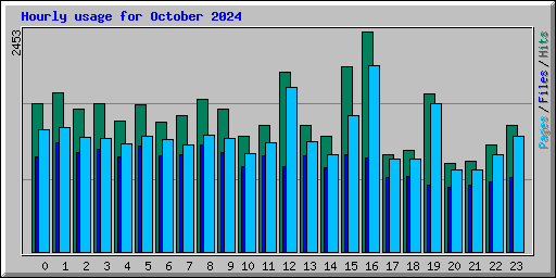 Hourly usage for October 2024