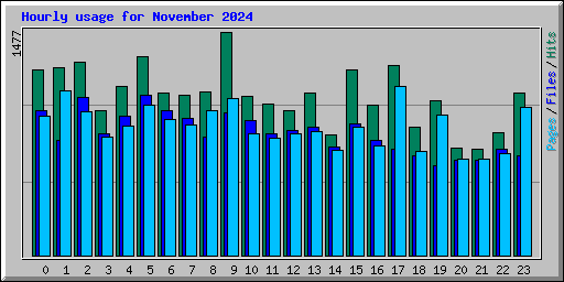 Hourly usage for November 2024