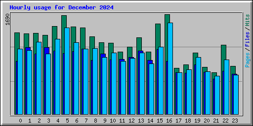 Hourly usage for December 2024