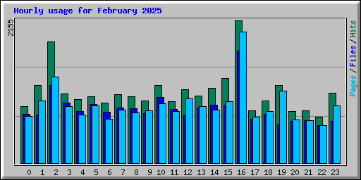 Hourly usage for February 2025