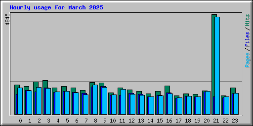Hourly usage for March 2025