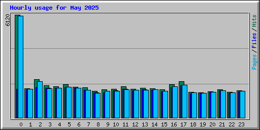 Hourly usage for May 2025