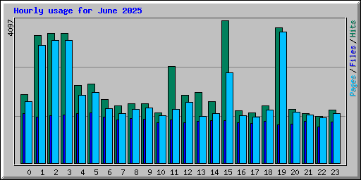 Hourly usage for June 2025