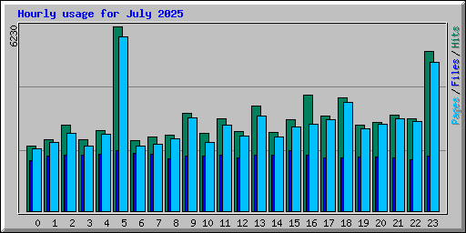 Hourly usage for July 2025