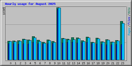 Hourly usage for August 2025