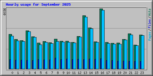 Hourly usage for September 2025