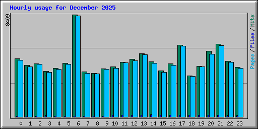 Hourly usage for December 2025