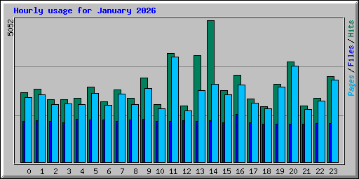 Hourly usage for January 2026
