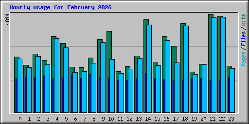 Hourly usage for February 2026
