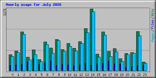 Hourly usage for July 2026