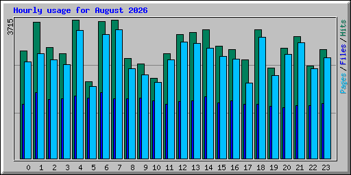 Hourly usage for August 2026